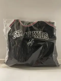 Straykids スキズ アプグレグッズ エコパ　ICカードステッカー