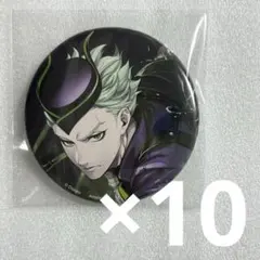 ツイステ　セベク 缶バッジ　10個　寮服　AGF