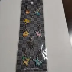 ポケモン　ブイズ　メタルチャーム　全国ずかん