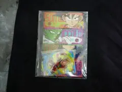 Item thumbnail for item 6de423a5-b2ce-4945-a84c-a1efadb4cd95