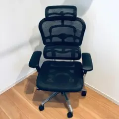 エルゴヒューマン　ベーシック　Ergohuman Basic EH-HAM