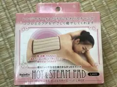 Item thumbnail for item 67fb312b-2ad1-4633-a075-6d1b6c716a19