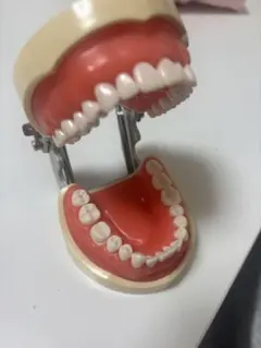 Item thumbnail for item f7e8fa9d-ab4f-41c0-bd09-30161f1ca2c4