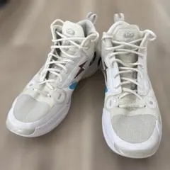 Li-Ning Way of Wade 10【29cm】のサムネイル