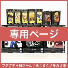 SEフィギュア様リクエスト専用ページのサムネイル