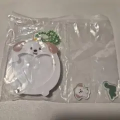 riize ガチャガチャ