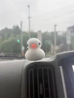 専用