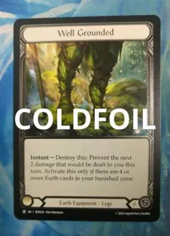 FAB 堅固な接地/Well Grounded ROS CF英語版