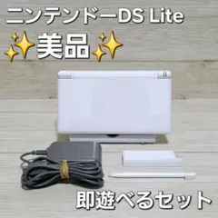 正常品☆美品☆ニンテンドーDS Lite ホワイト 本体 タッチペン 充電器