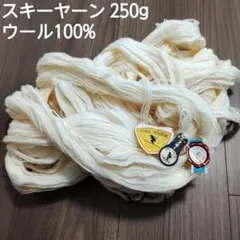 SKI YARN スキー毛糸 250g ①