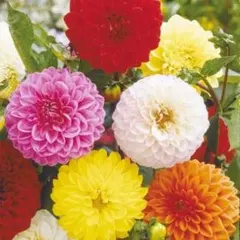 まあーちゃん様 リクエスト 2点 まとめ商品