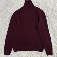 2025年最新】ドルモア タートル 48の人気アイテム - メルカリ