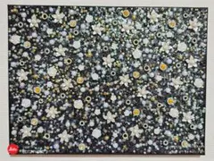 Item thumbnail for item d27c4046-e51b-4e8e-89e1-360c92fde7d7