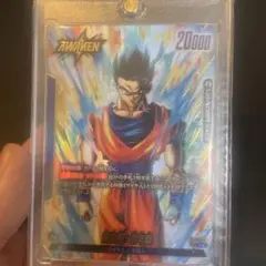 フュージョンワールド　悟飯青年期　リーダーパラレル