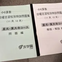 2026年最新】浜学園 小6 志望校別特訓問題集の人気アイテム - メルカリ