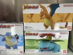 ポケモン　カントー地方　スケールワールド　リザードン フシギバナ カメックス