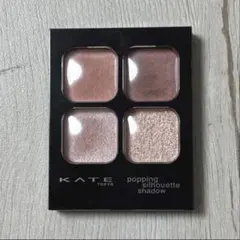 KATE ケイト ポッピングシルエットシャドウ RD-1 ロージーポップ