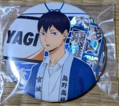 2025年最新】影山飛雄缶バッジの人気アイテム - メルカリ