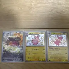 パモAR、パモットS、パーモットS 色違いの進化セットです