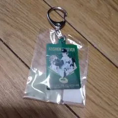 KOSHIEN 100周年記念タッチ 記念キーホルダー