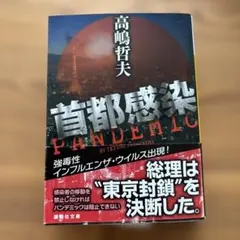 高嶋哲夫　首都感染