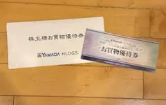 ヤマダ電機 株主優待券 5000円分(500円×10枚)