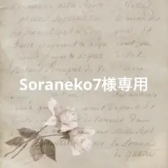 Soraneko7様 リクエスト 9点 まとめ商品