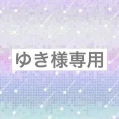 ゆき様専用 ぬい服2着