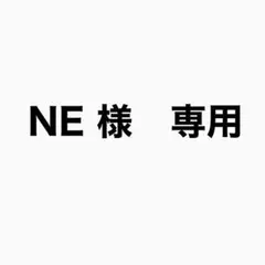 NE 様　専用