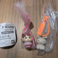 クレヨンしんちゃん カラフルマルチチャーム2 2種セット