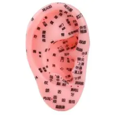 Item thumbnail for item 0c066eca-d1eb-49f3-af17-41688b22d2cf