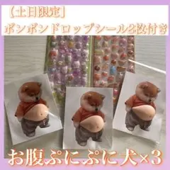 【土日限定SALE❣】柴犬 おなかぷにぷに シール 3枚＋ドロップシール2枚