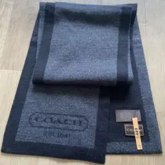 Item thumbnail for item caa399cb-22d6-4a6e-8bf8-2f2573fd7ca3