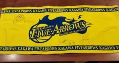 Item thumbnail for item 7a0b6259-3ecd-4035-8812-db749a1e9c4a