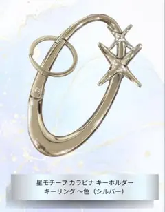 星モチーフ カラビナ キーリング シルバー キーホルダー プレゼントに