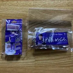 サンフレッチェ広島レジーナ 応援グッズ