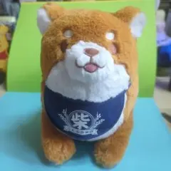 Item thumbnail for item 9689f738-0f3e-43bc-a9a0-a4701552bf00