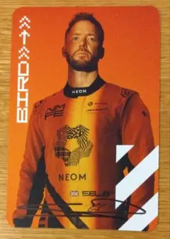 F1 STR9 2014 ジャンエリックベルニュー直筆サイン入り Yahoo!オークション - ジャン・エリック・ベルニュ サイン入り