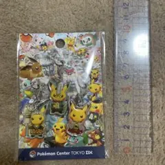 激レア✨未開封品✨ ポケモンセンター限定販売　ソフビフィギュア　3種セット ピカチュウ 実物大ソフビ フィギュア3体 ぜんまい玩具 センサー