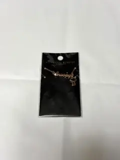 ユニバーサルスタジオジャパン スヌーピー ネックレス