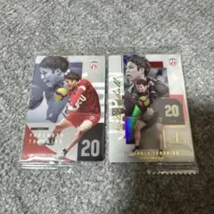 男子バレーボールウエハース 山本智大 N・Rセット