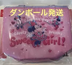 ミニー スーベニアランチケース ディズニーランド バッグ