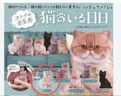オトナの空気感　猫のいる日日　ミヌエット 　ガチャガチャ　カプセルトイ