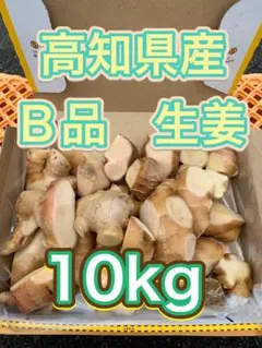 生姜 しょうが 15kg 高知県産 B級品 - メルカリ