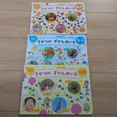 ひかりのくに付録季節の図鑑めいろ春夏秋セット