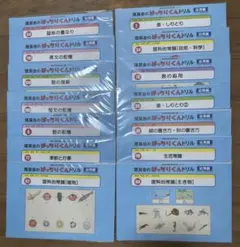 理英会 ばっちりくんドリル ピグマリオン 教材セット