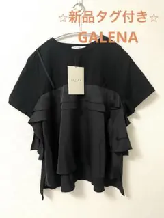 新品タグ付き⭐︎GALENA ガレナ レイヤードライクTOPS(完売品)のサムネイル