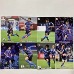 カルビー　サッカー日本代表チームチップス