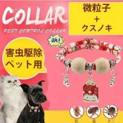 Item thumbnail for item 9edd7247-fb57-4f65-8d91-b2feaa5adf63