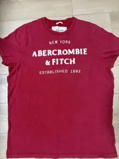 アバクロ　Tシャツ